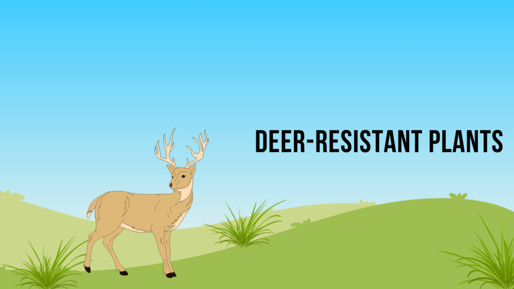 Deer-Resistant Plants