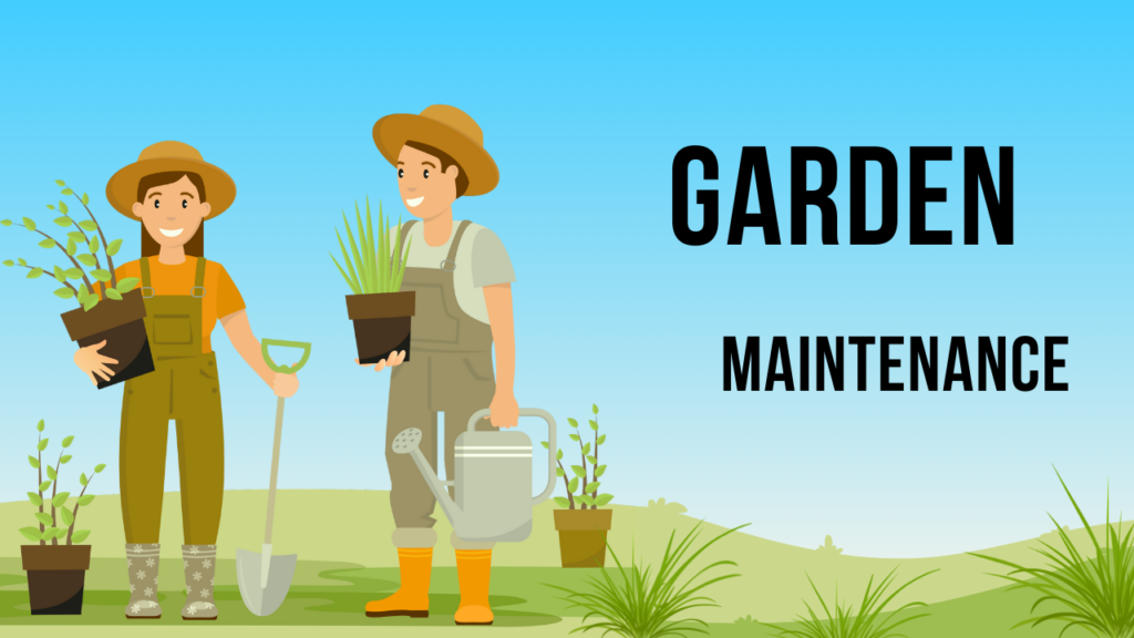 Regular Garden Maintenance