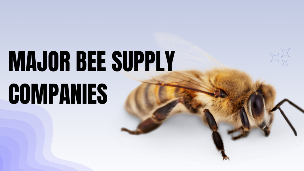 United States Bee Supply Companies