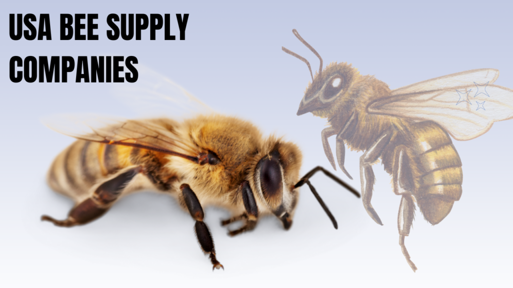 United States Bee Supply Companies