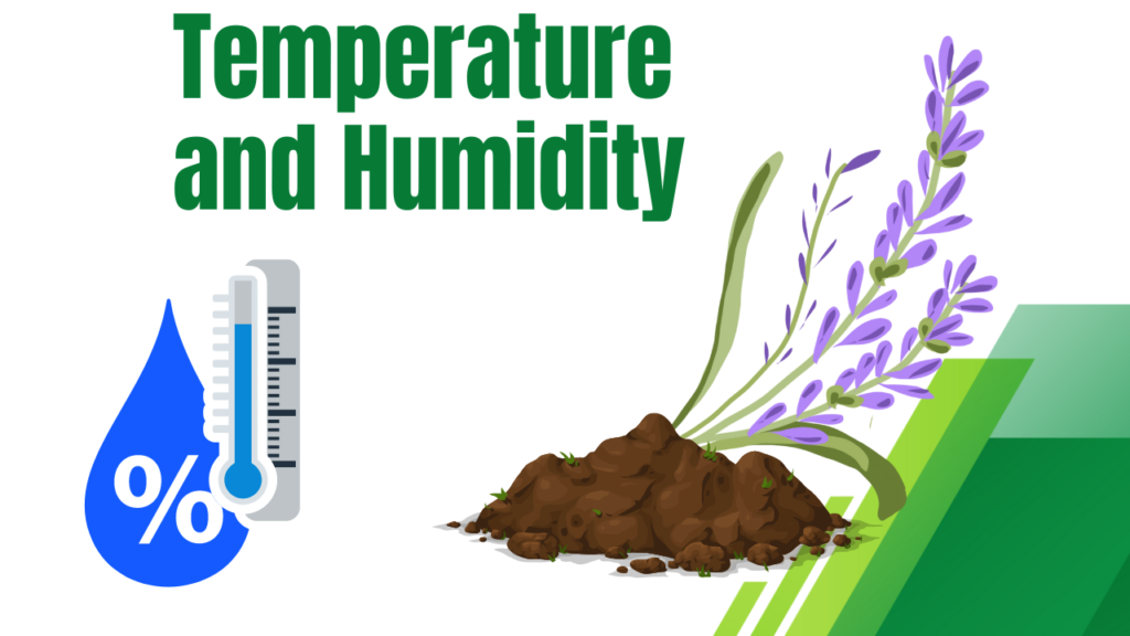 Temperature and Humidity