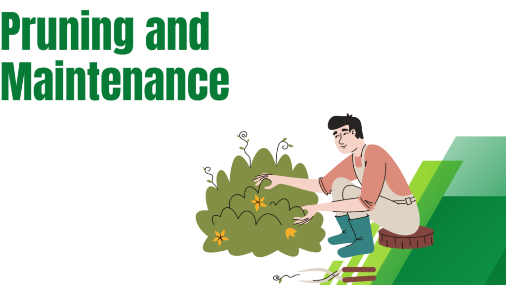 Pruning and Maintenance