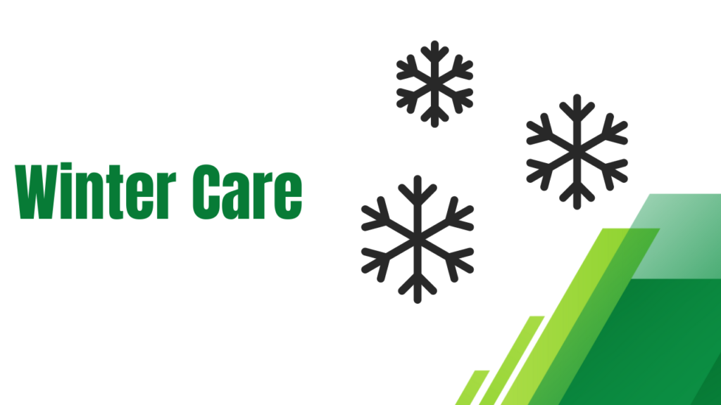 Winter Care