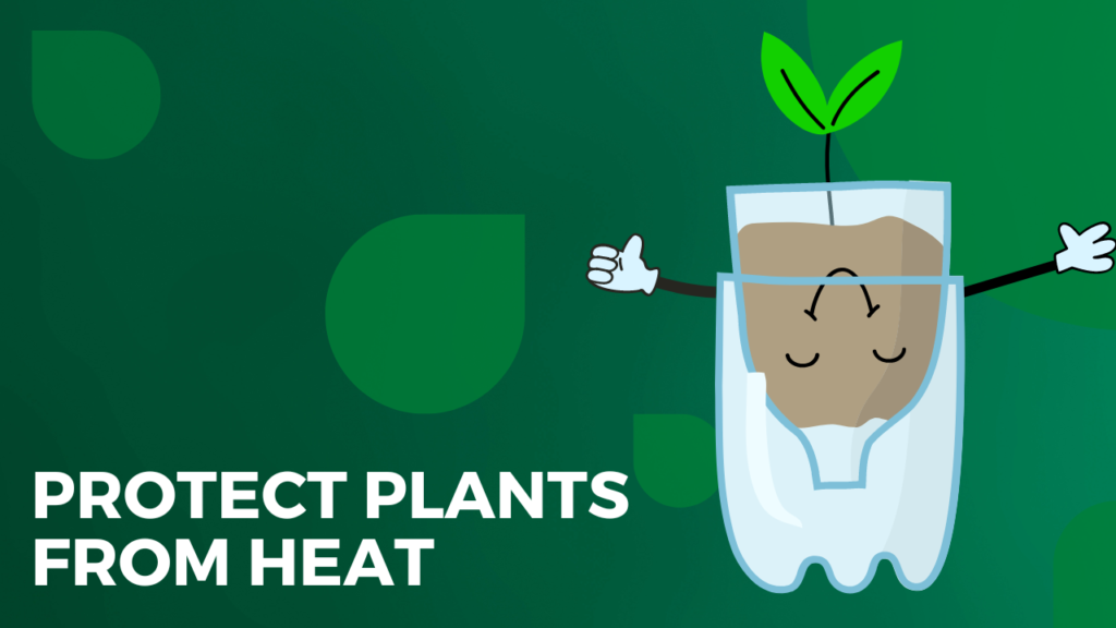 How to Protect Plants from Heat in Cars